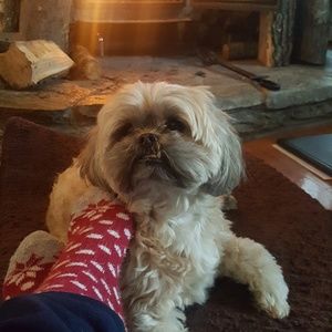 Meet your Posher, Victoria